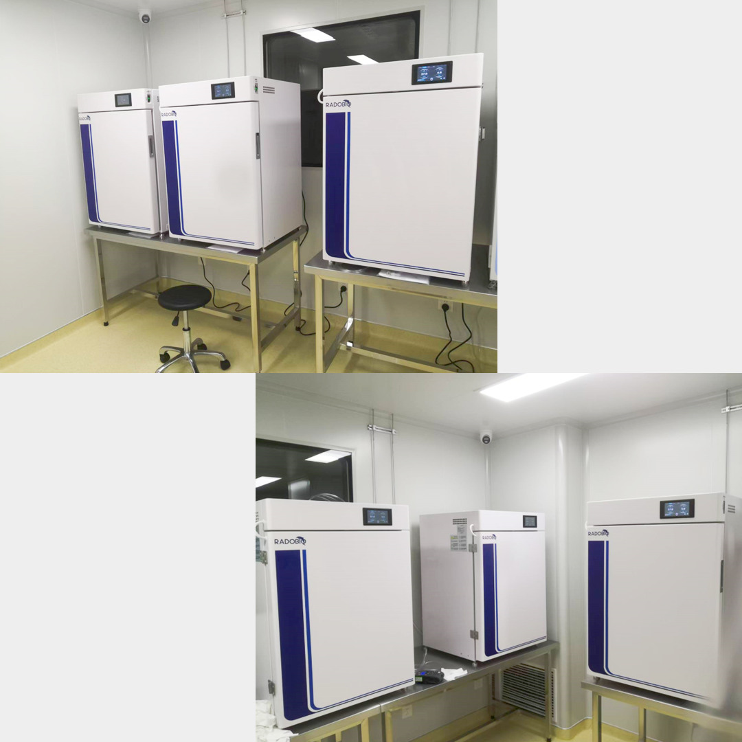 C180SE CO2 Incubator | Cell Therapy Company in Shanghai​