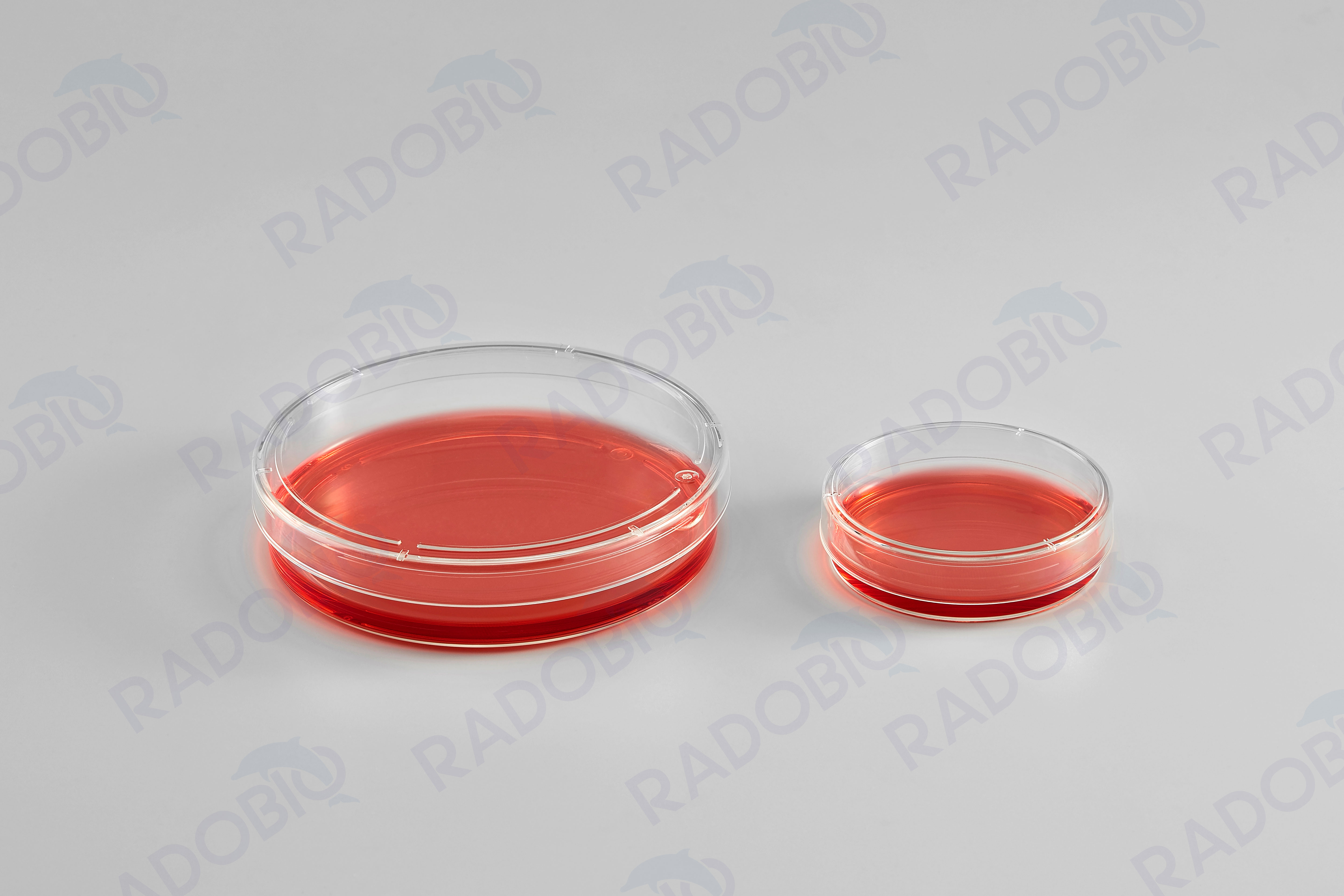 Cell Culture Dish Featured Image
