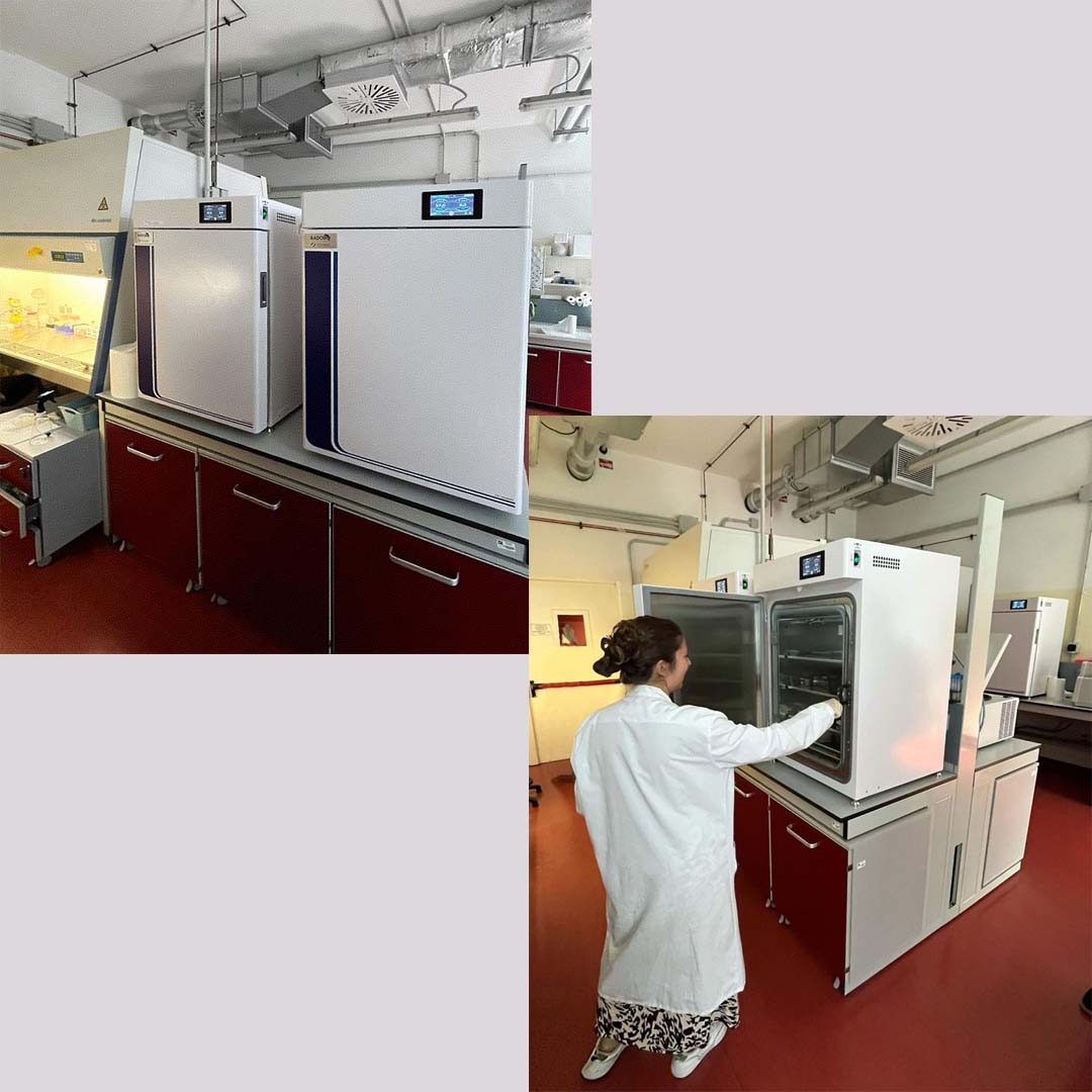 C180PE CO2 Incubator | Università degli Studi di Milano-Bicocca in Italy