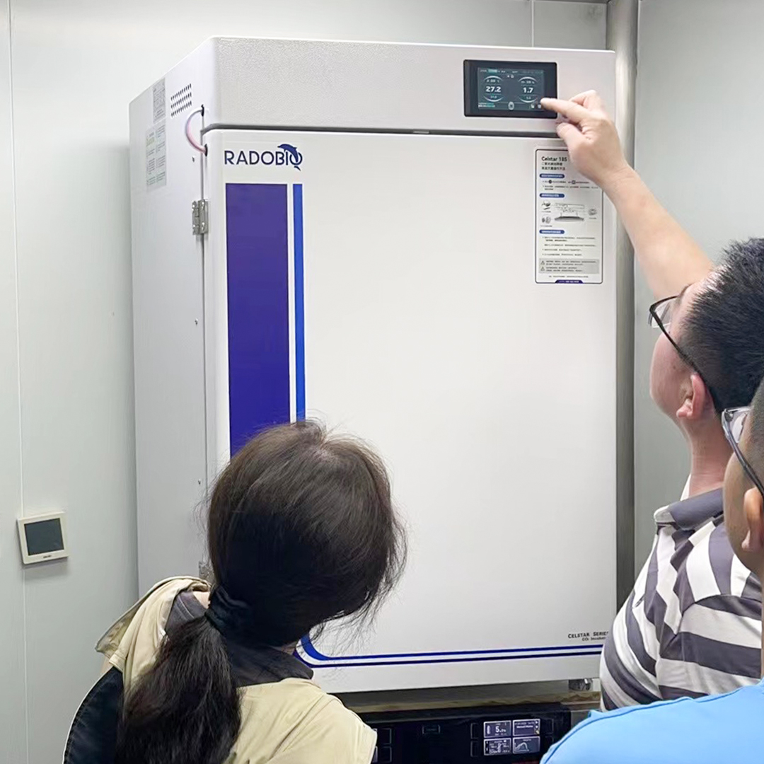 C180PE High Heat Sterilization CO2 Incubator | Wuhan University