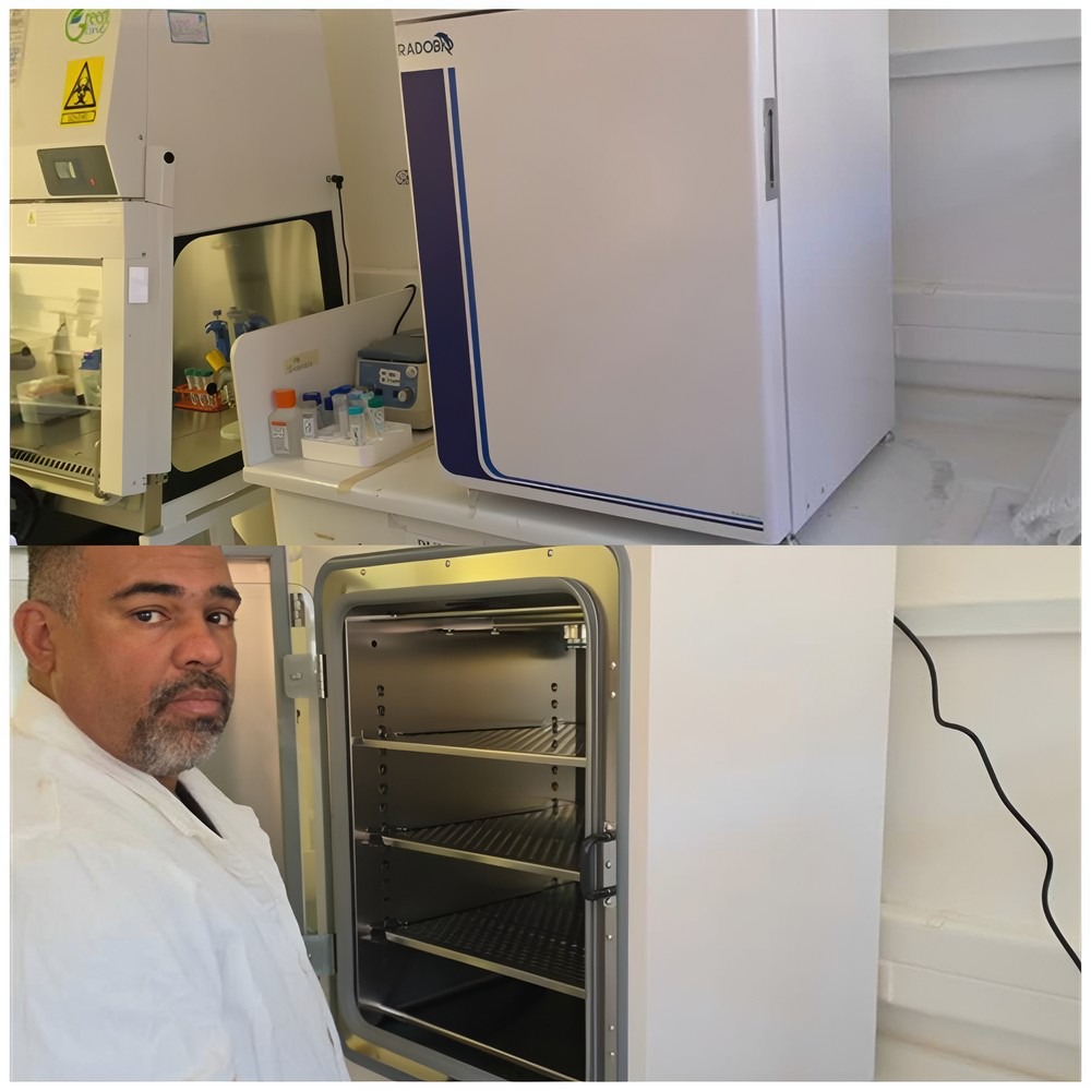 C180SE CO2 Incubator | Catholic University of the North in Chile
