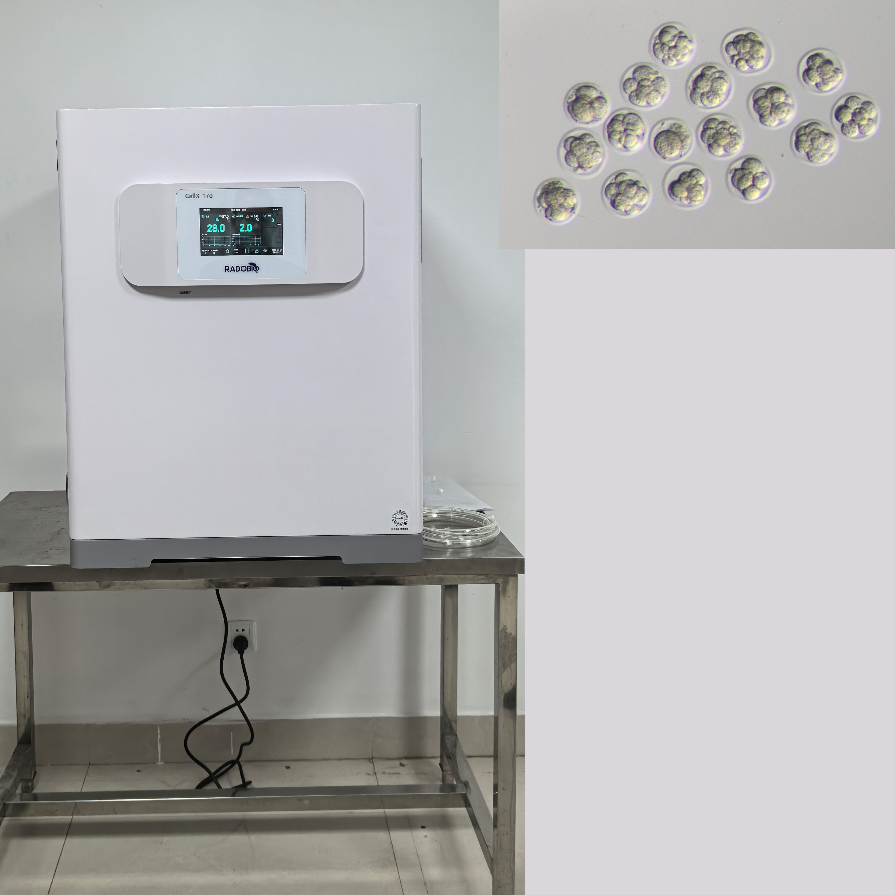 XC170-MG Tri Gas Incubator | Sichuan Agricultural University
