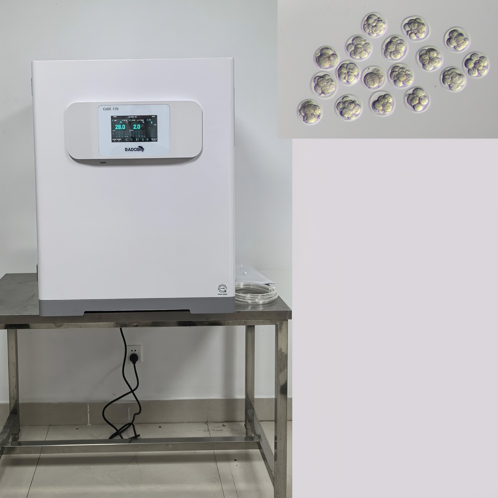 XC170-MG Tri Gas Incubator | Sichuan Agricultural University