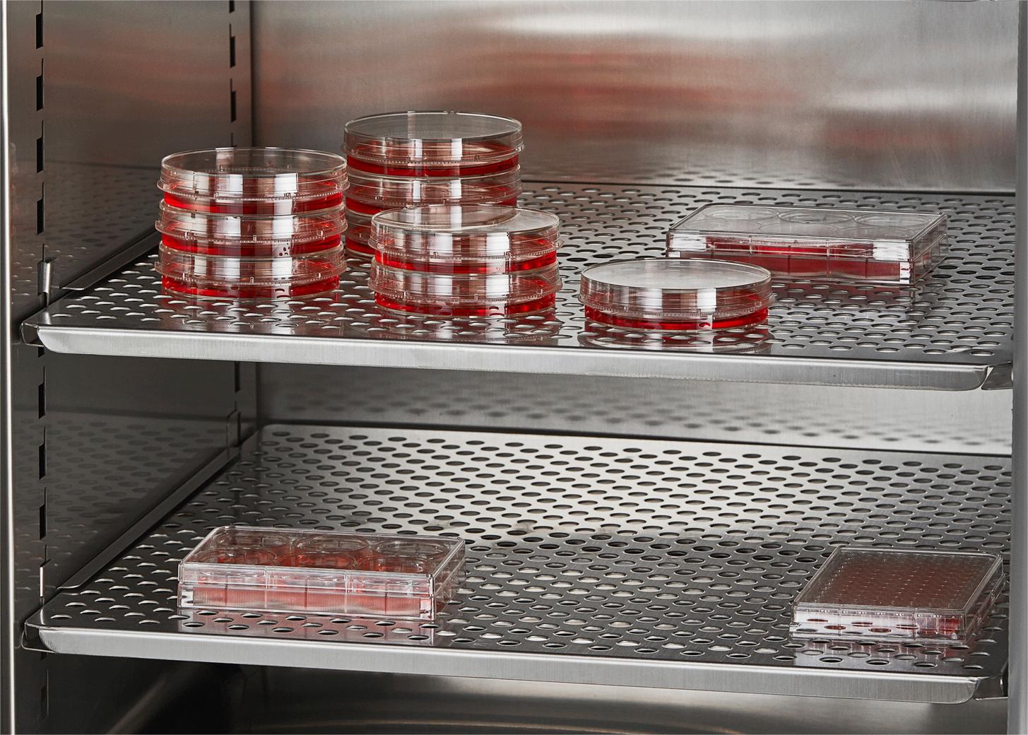 Why CO2 is needed in cell culture?