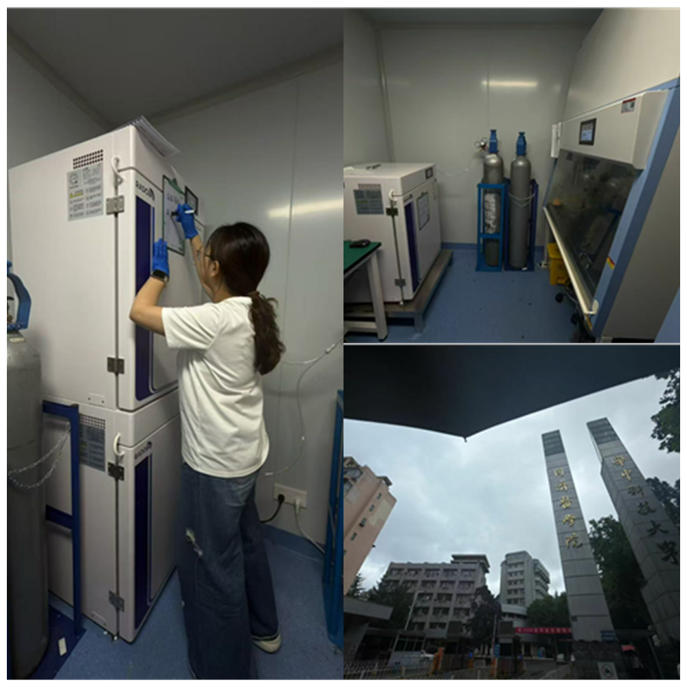 Incubadora de CO2 C180SE | Universitat de Ciència i Tecnologia de Huazhong