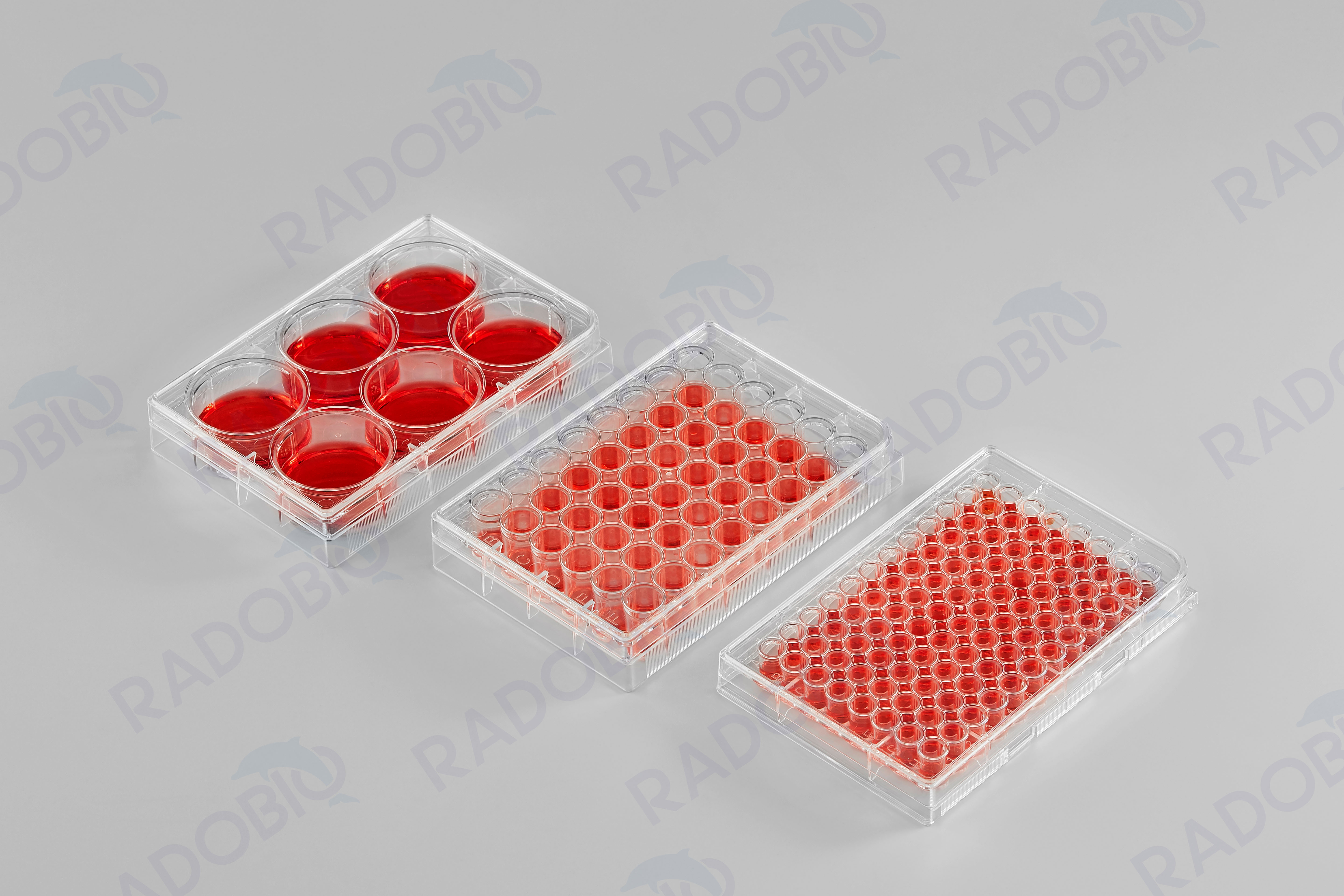 Cell Culture Plate Featured Image