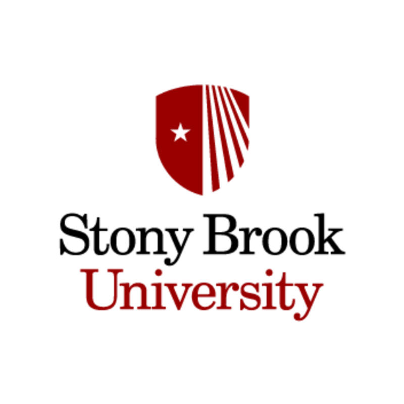 stony brook university